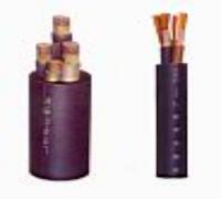 計算機(jī)電纜ZR-DJYPVP